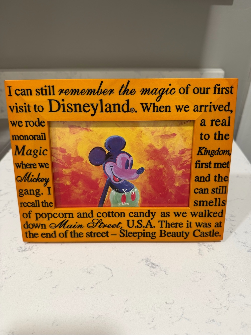 Disneyland Remember the Magic Brand New 4x6 Picture Frame